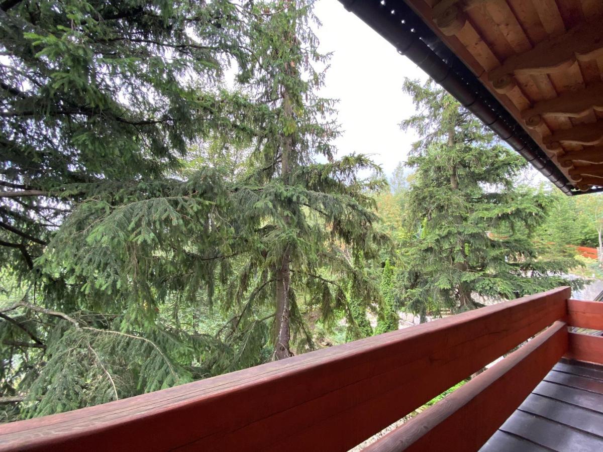 Willa Wojciechowo Zakopane Exteriör bild