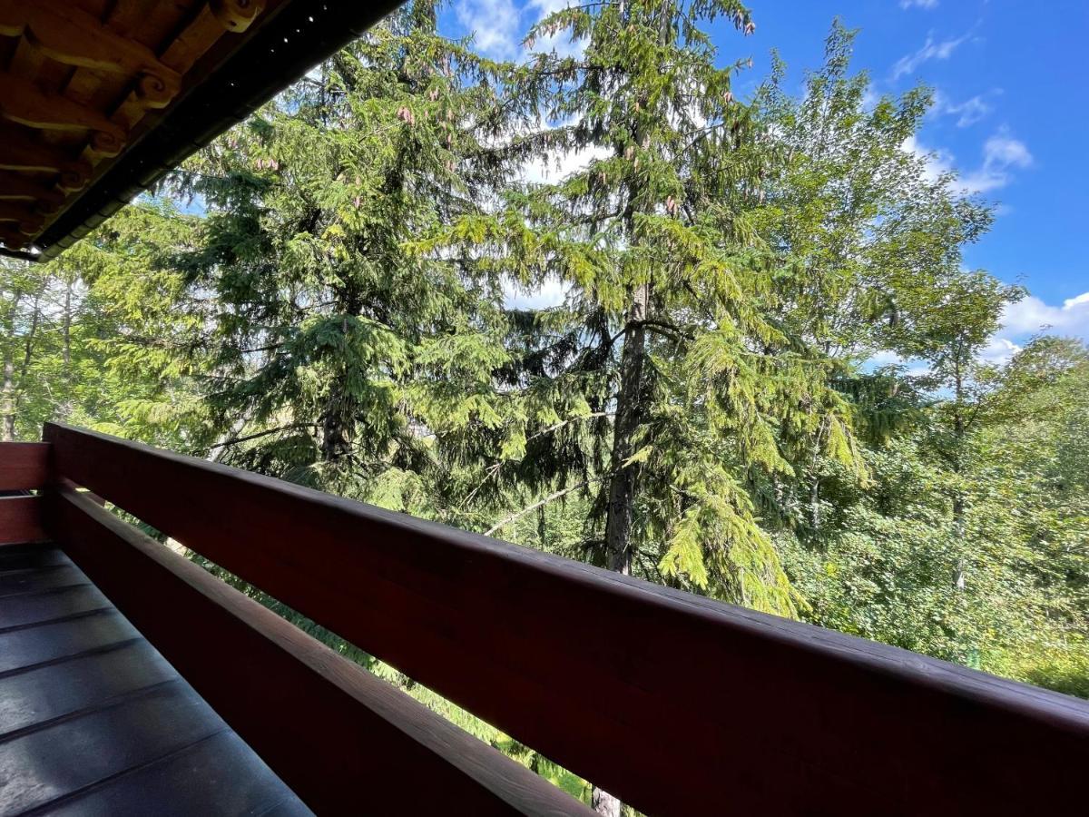 Willa Wojciechowo Zakopane Exteriör bild
